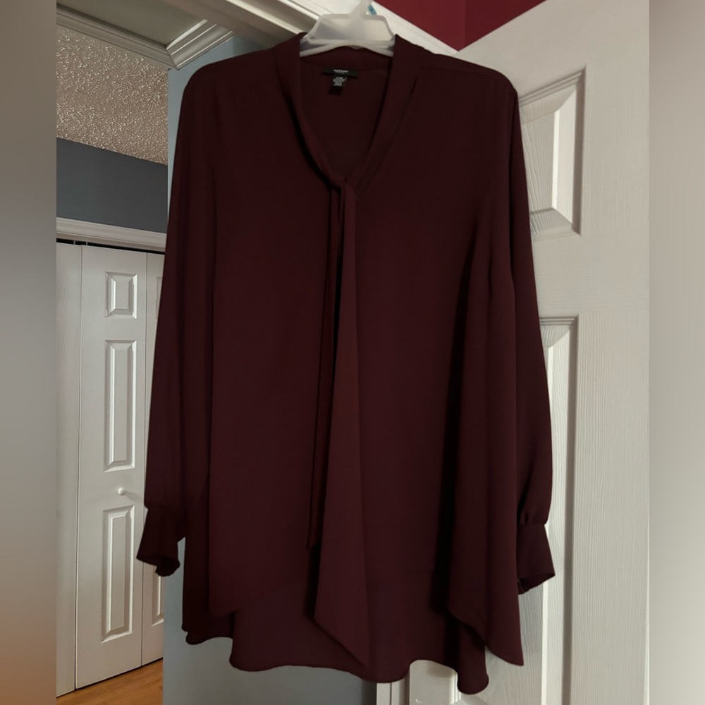 Plus Sized Dressy Blouse